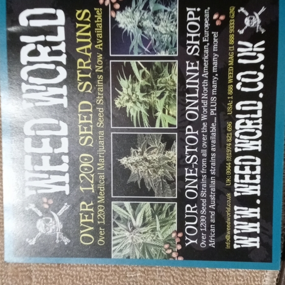 Book - Picture 3 of 3